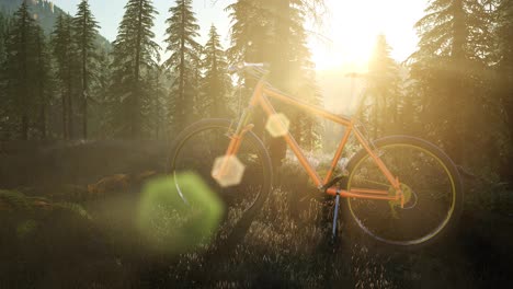 Fahrrad-Im-Bergwald-Bei-Sonnenuntergang